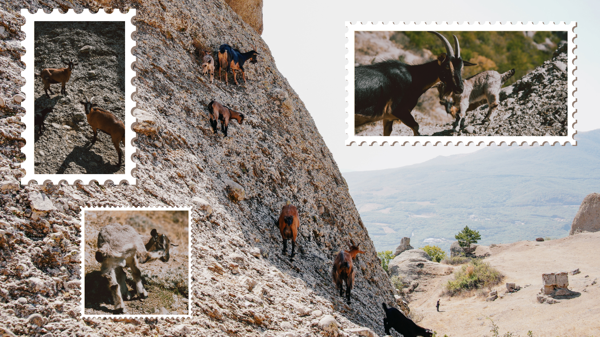 Крым 2025: Глава первая. Фотограф из Москвы — DASHA NOVA | Авторская фотография в разных жанрах