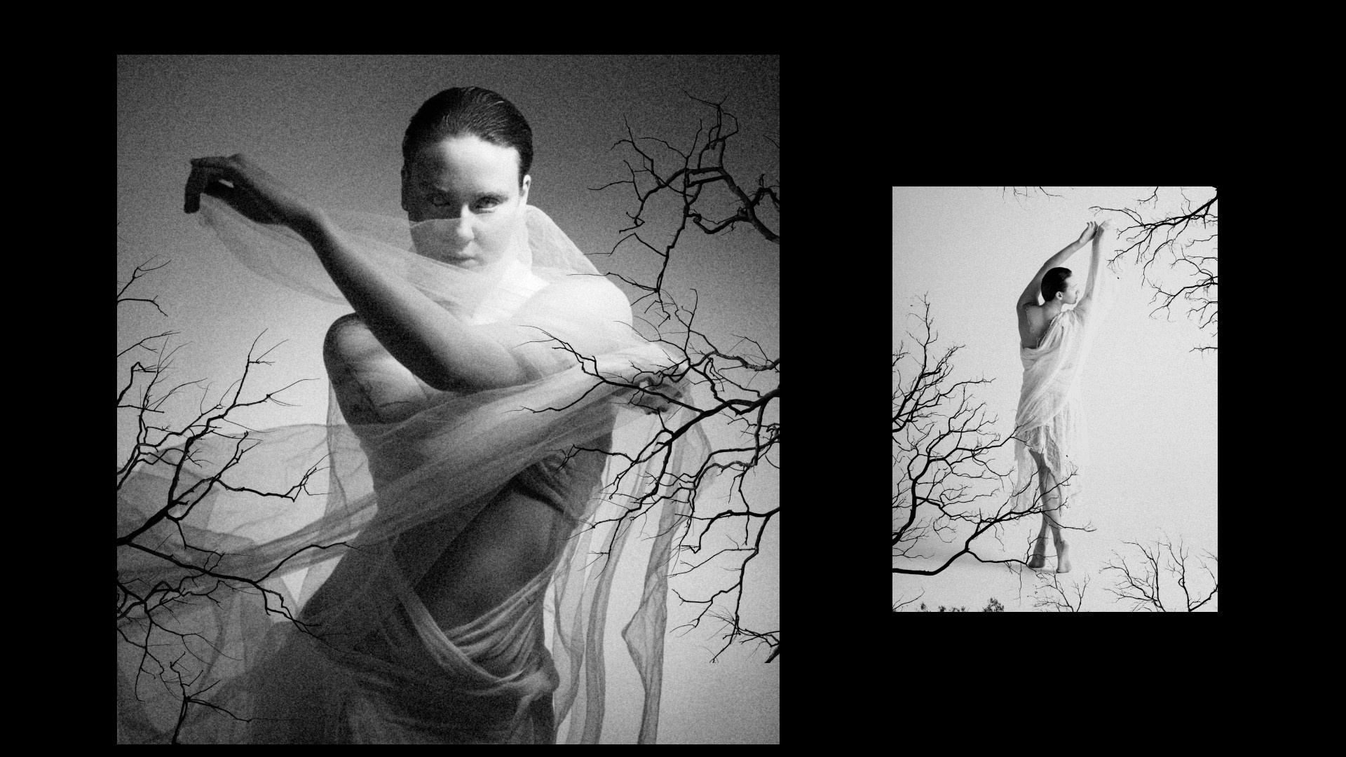 Бабочка. Фотограф из Москвы — DASHA NOVA | Авторская фотография в разных жанрах