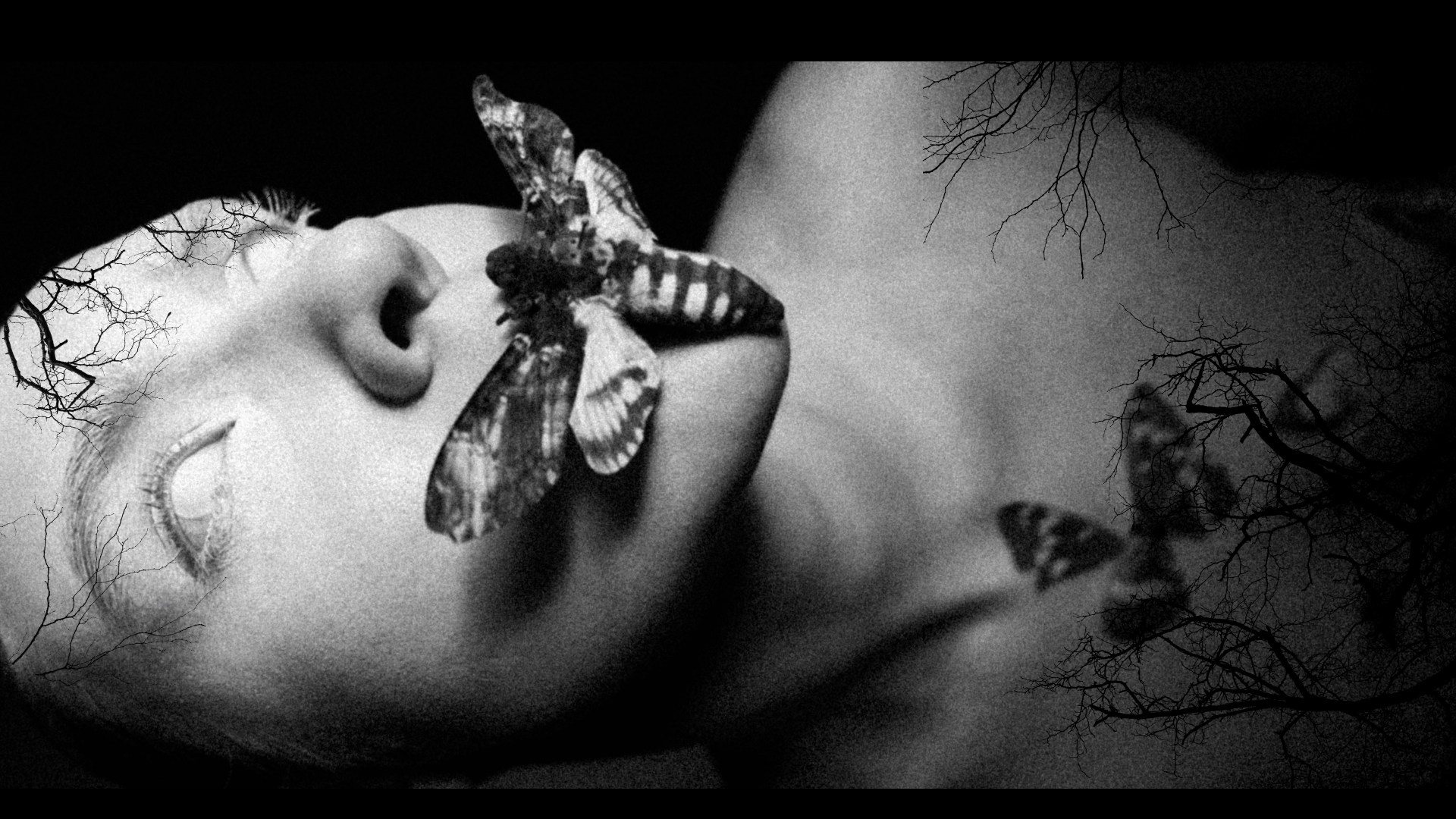 Бабочка. Фотограф из Москвы — DASHA NOVA | Авторская фотография в разных жанрах