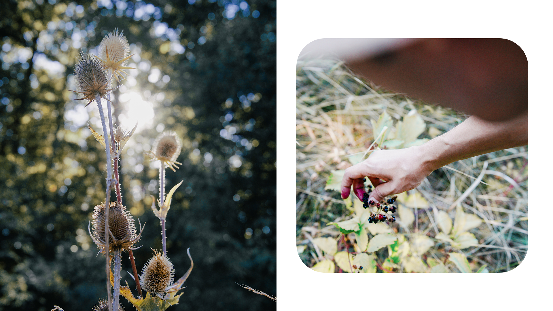 Крым 2025: Глава вторая. Фотограф из Москвы — DASHA NOVA | Авторская фотография в разных жанрах