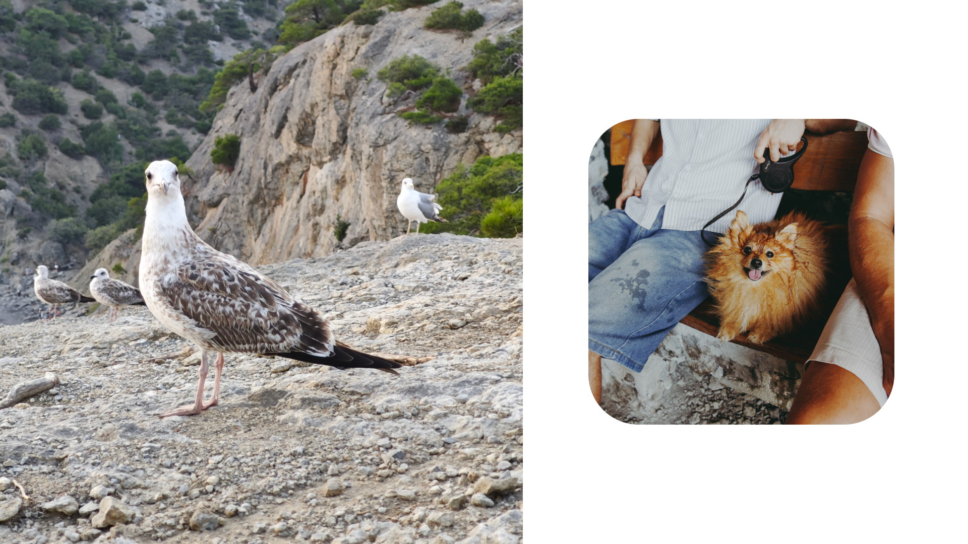 Крым 2025: Глава вторая. Фотограф из Москвы — DASHA NOVA | Авторская фотография в разных жанрах