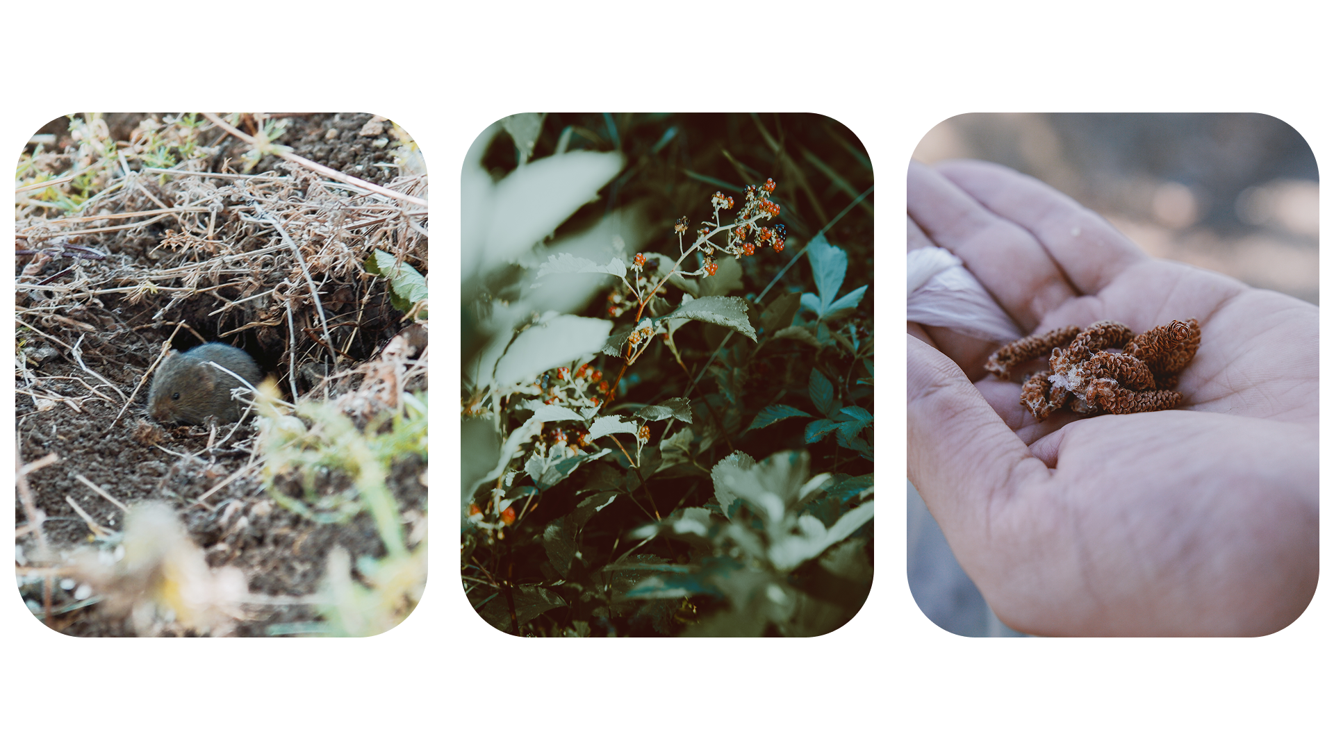 Крым 2025: Глава вторая. Фотограф из Москвы — DASHA NOVA | Авторская фотография в разных жанрах