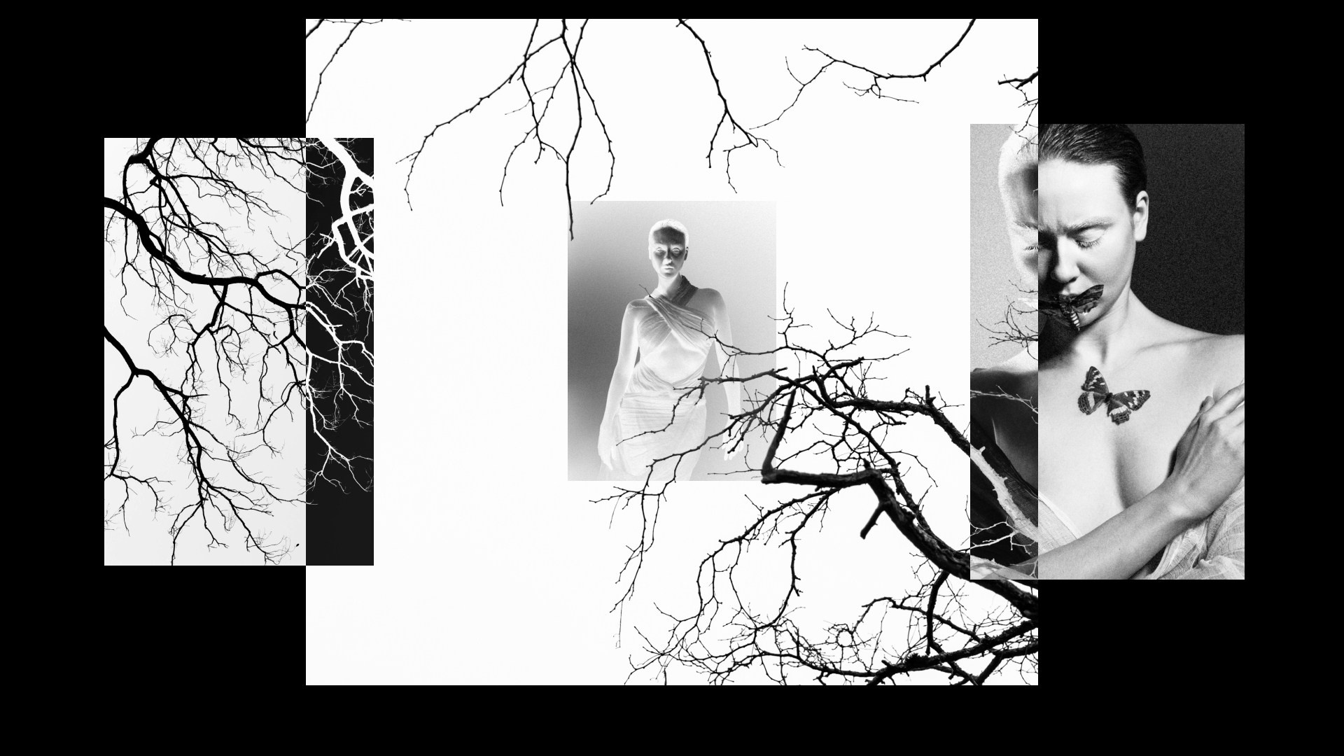 Бабочка. Фотограф из Москвы — DASHA NOVA | Авторская фотография в разных жанрах