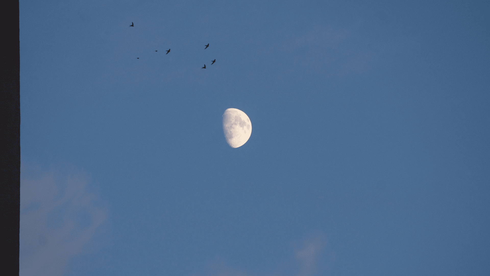 My photographs. Circles