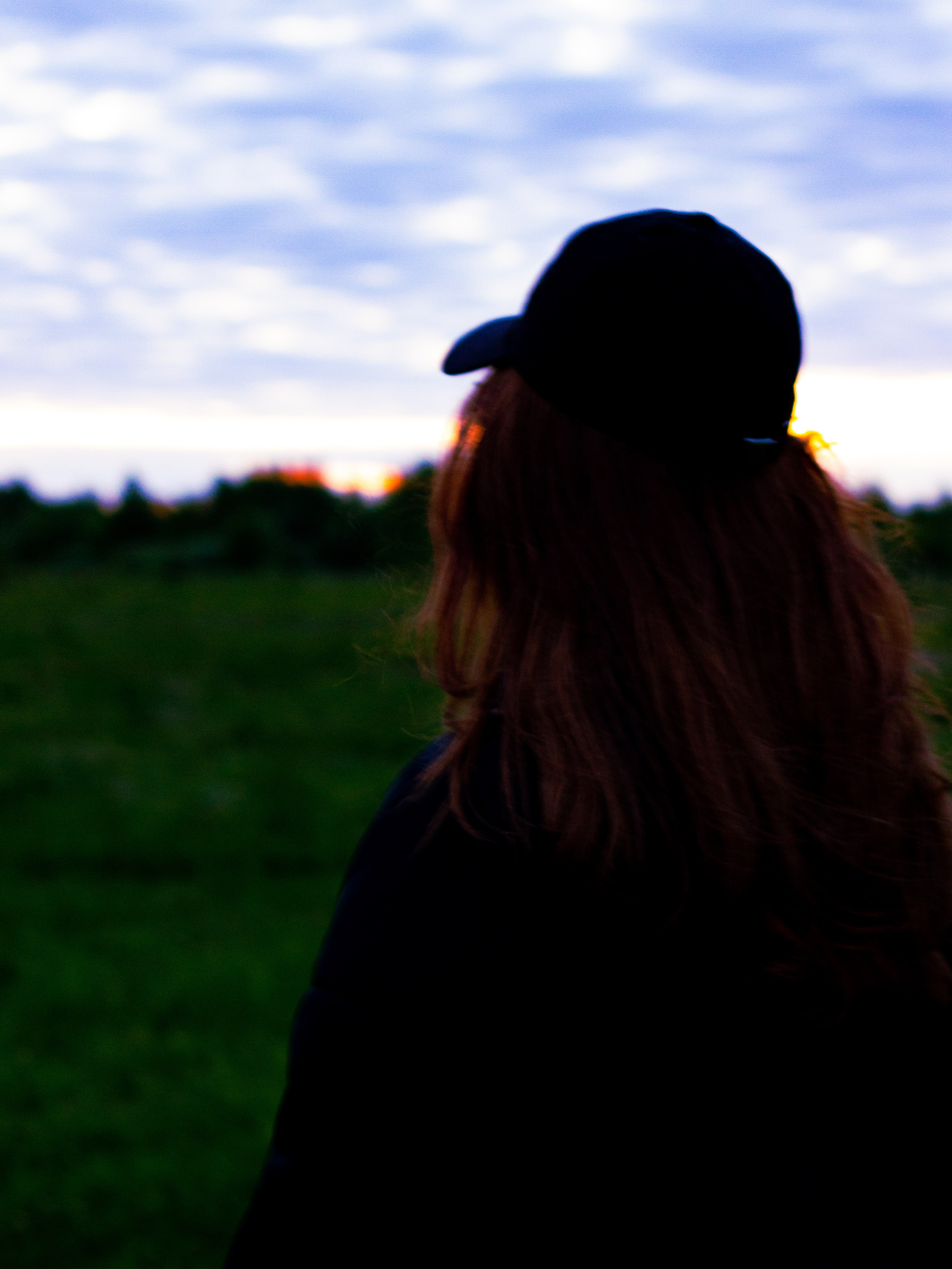 Услуги и цены. «Матрица»