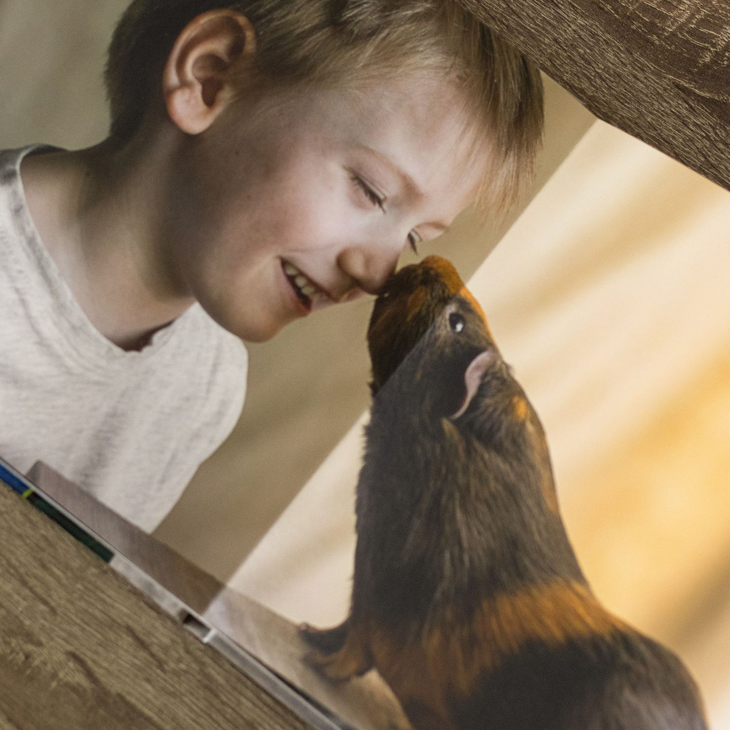 Стоимость фотосессии. Семейная фотосессия в Новосибирске