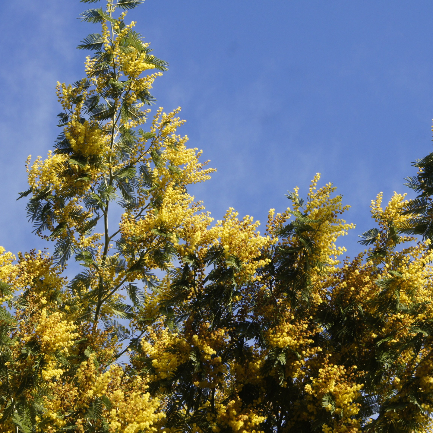 Портфолио|работы с партнерами. Хорошая экспедиция