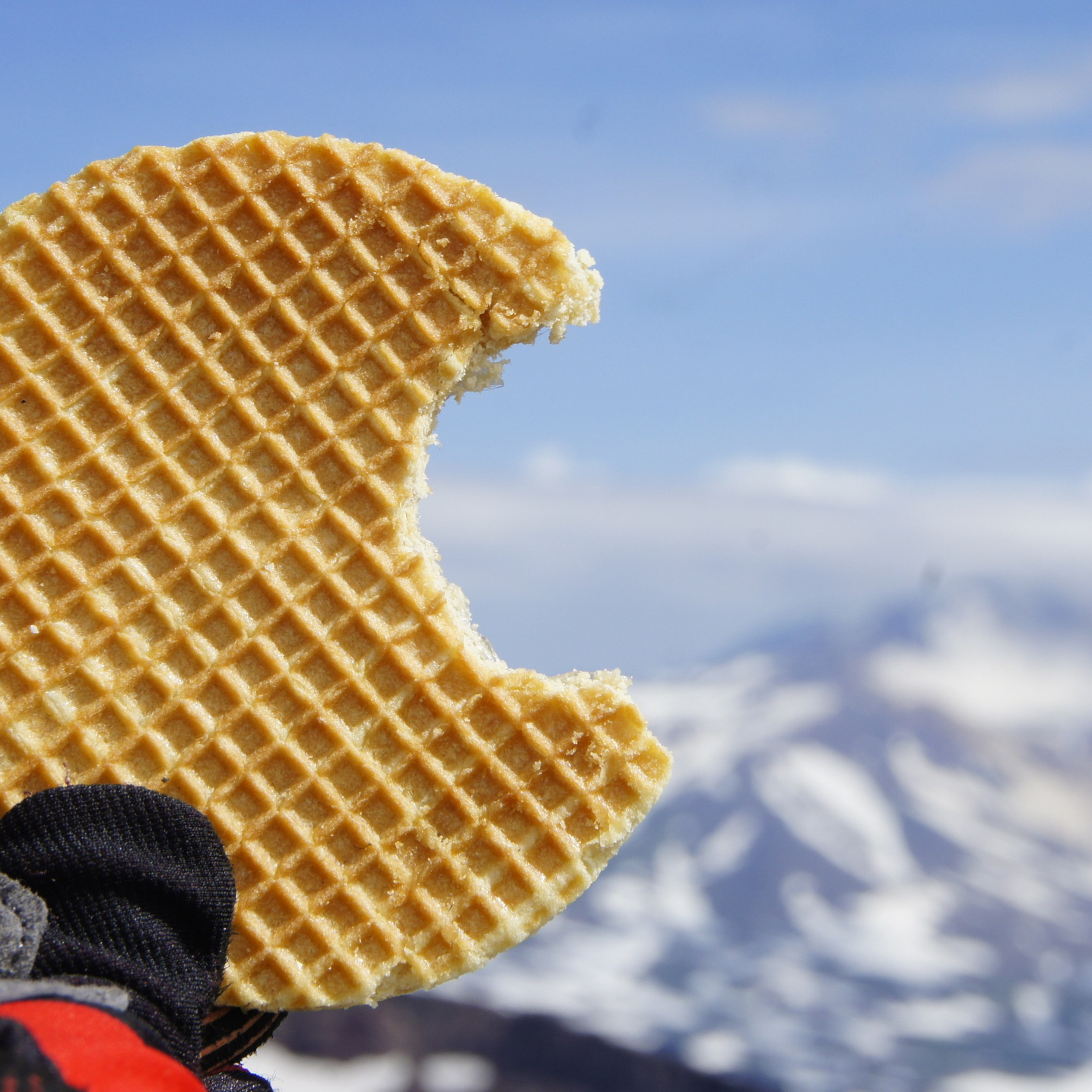 Портфолио|работы с партнерами. Хорошая экспедиция