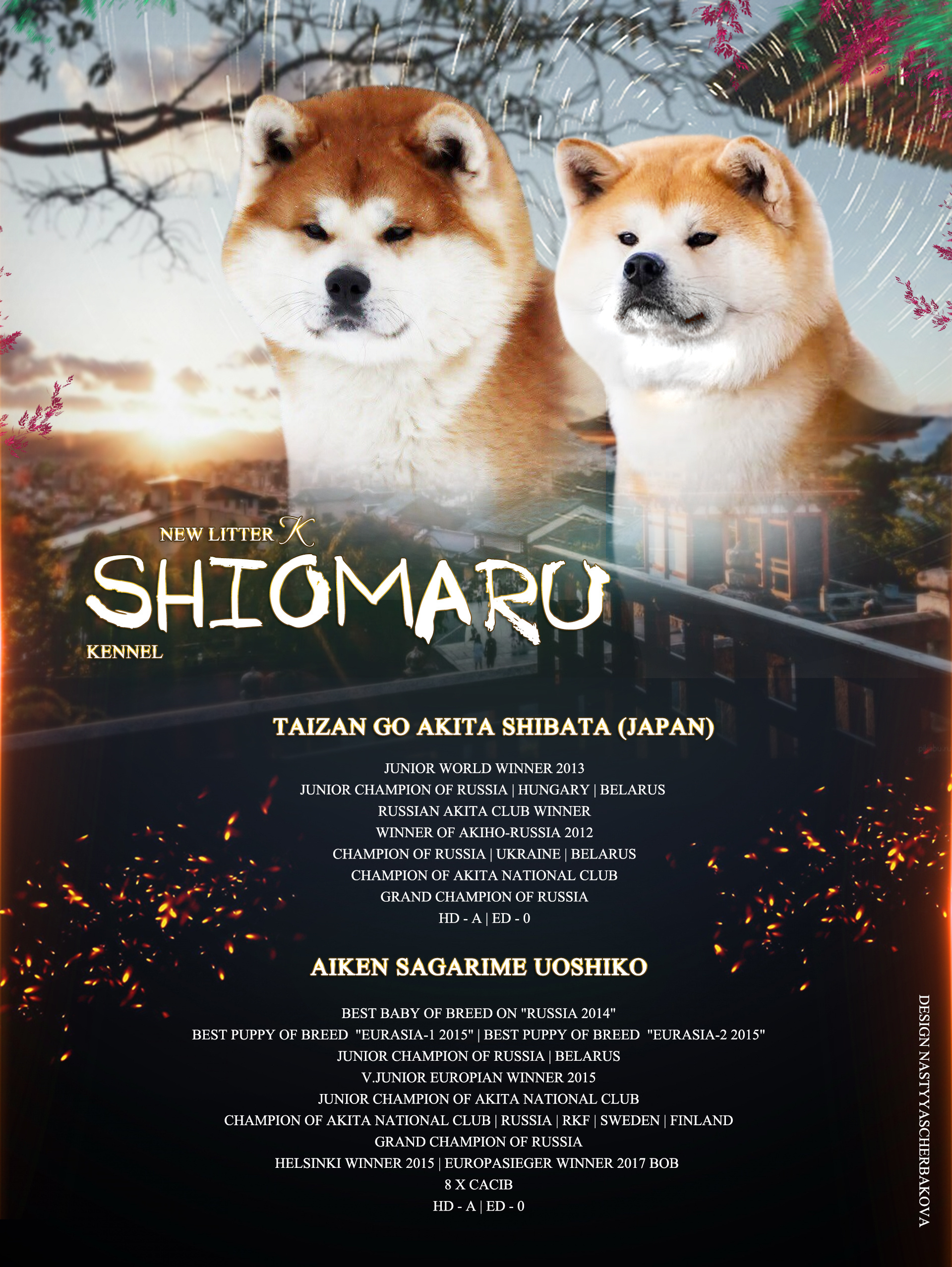 ПОМЕТ K. SHIOMARU Питомник сиба и акита-ину