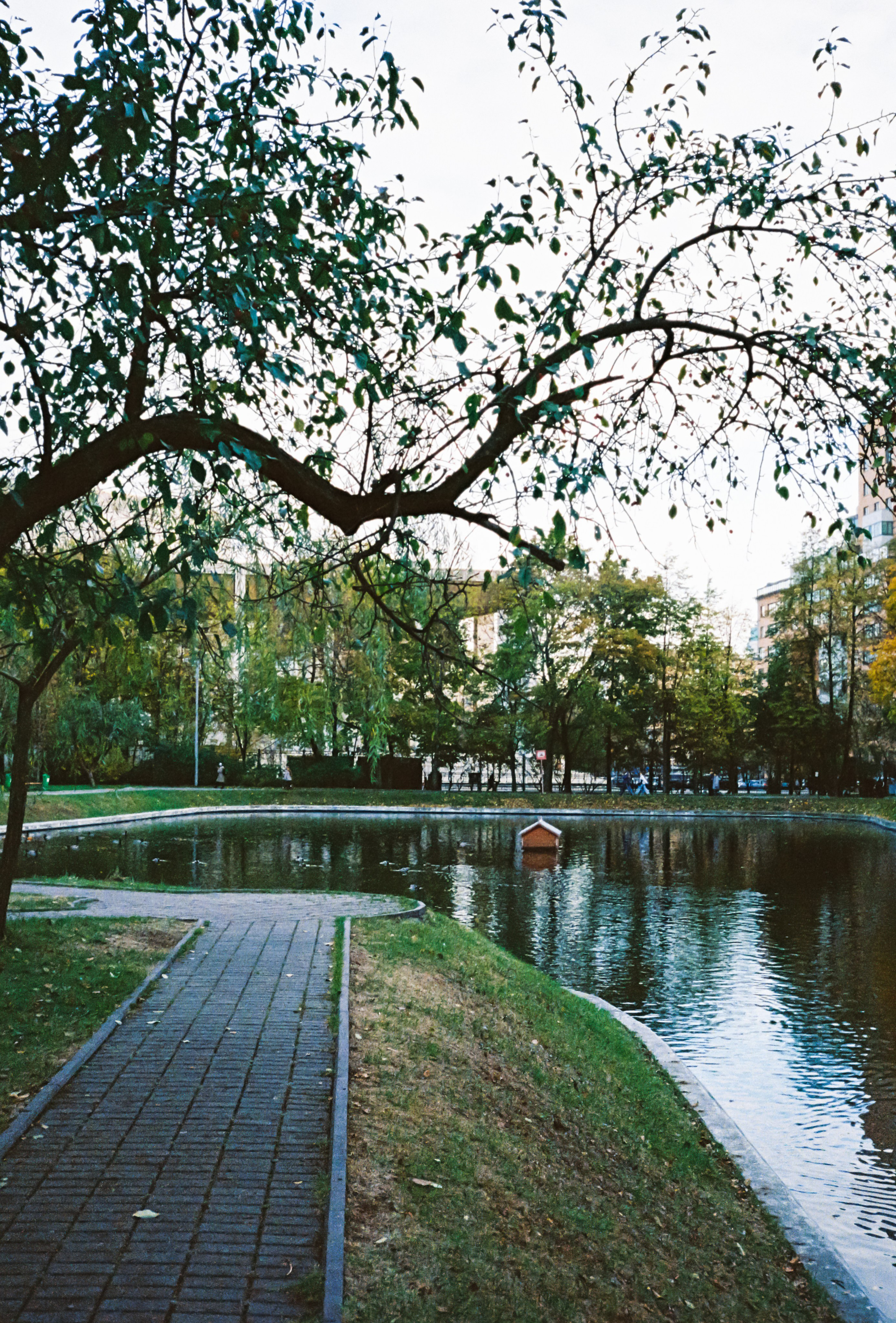 Осенний пруд в парке Усадьба Трубецких