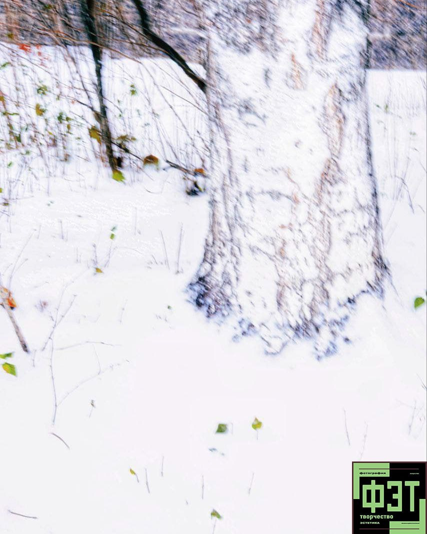 Альбом 23.11.25. ФЭТ