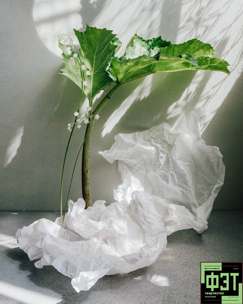 Наталья Переверзева