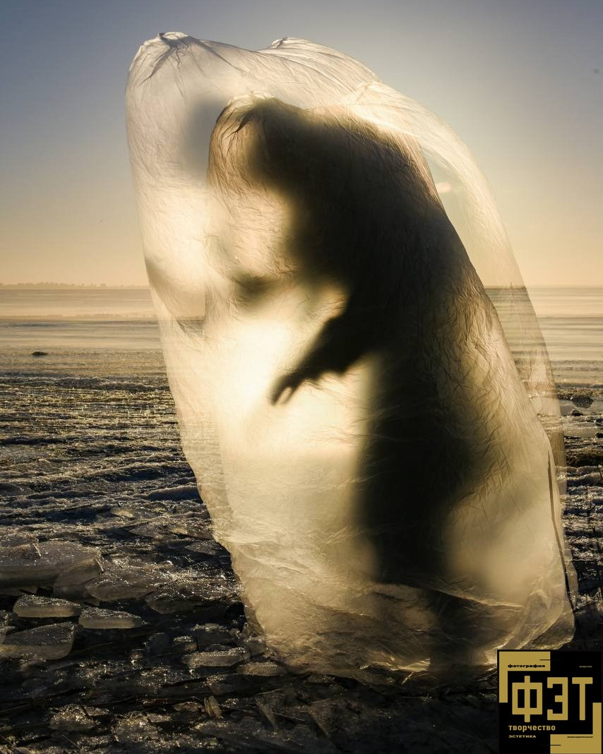 Выбор зрителей. Альбом 11.01.26