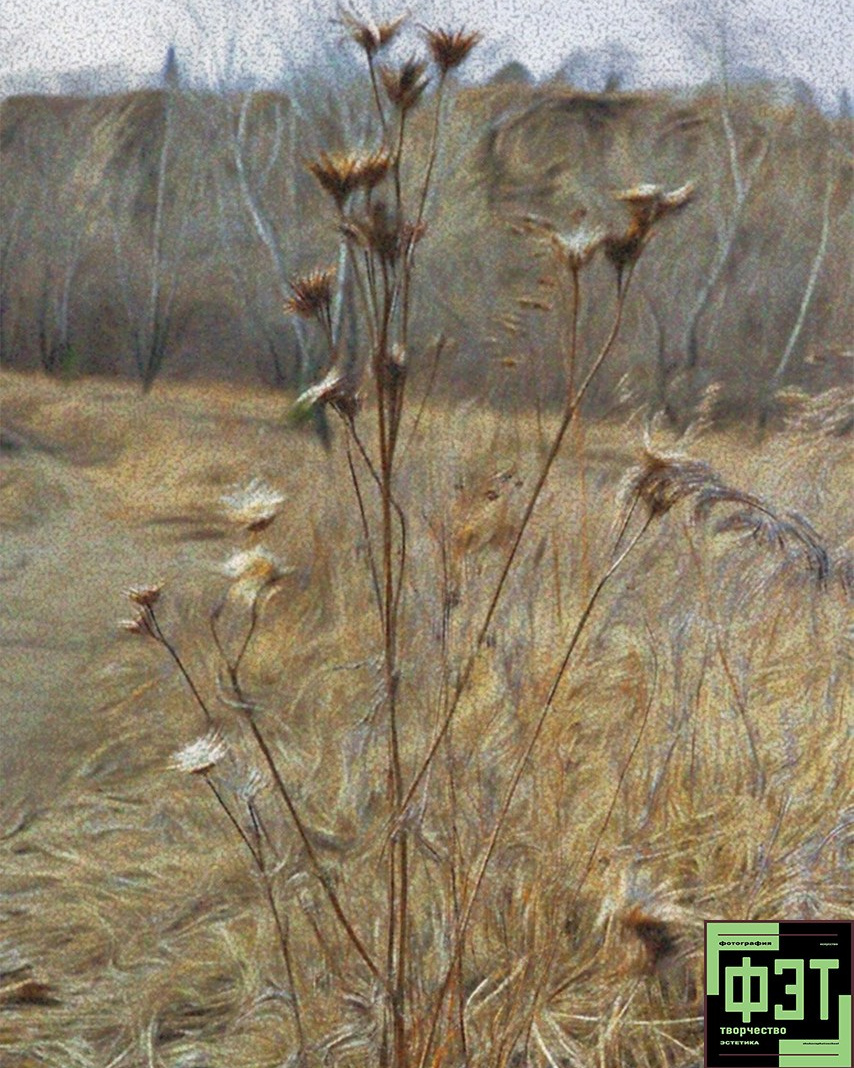 Наталья Переверзева