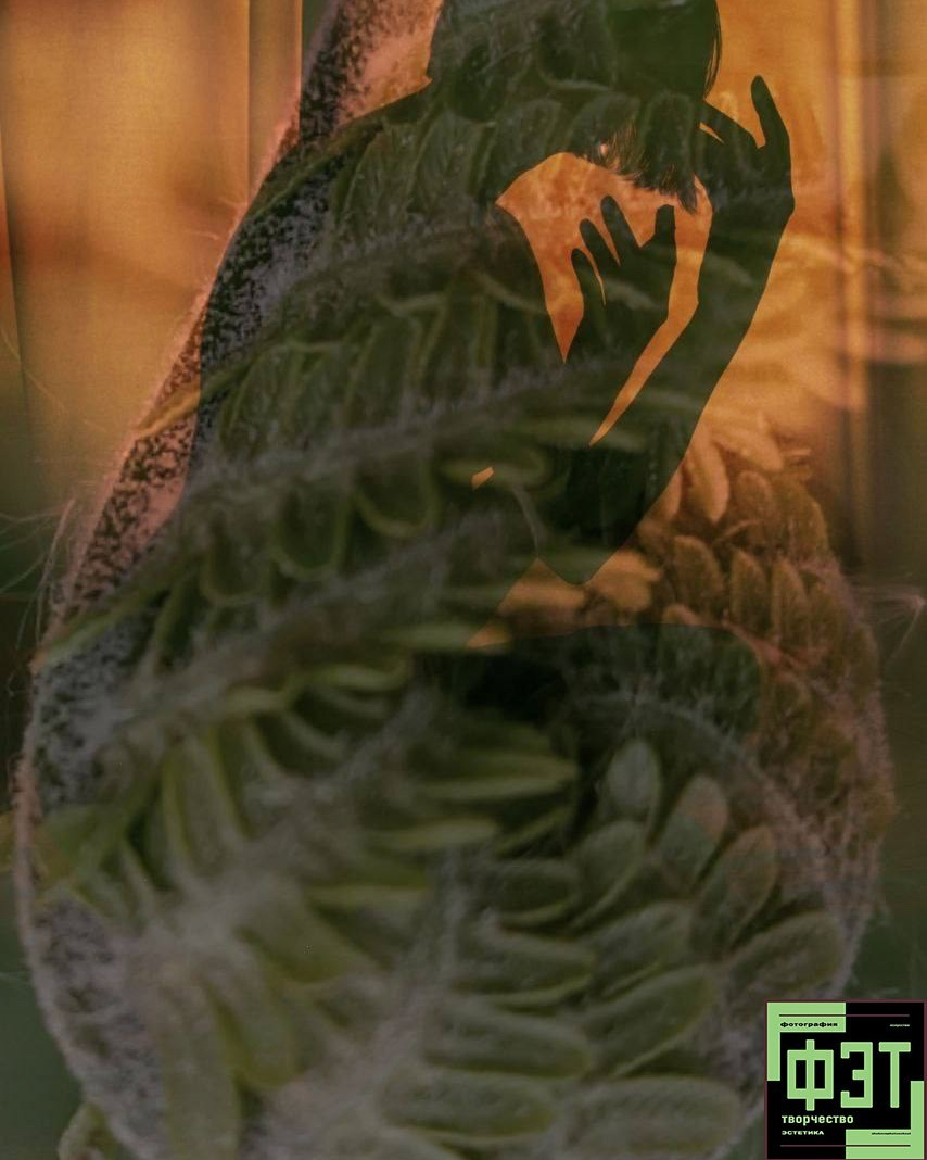 ФЭТ: Фотография Эстетика Творчество. 26.10.2025