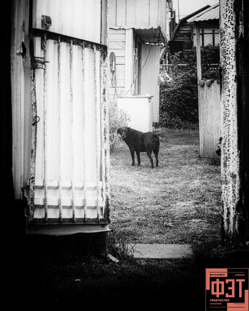 Альбом 18.01.26 проект ФЭТ