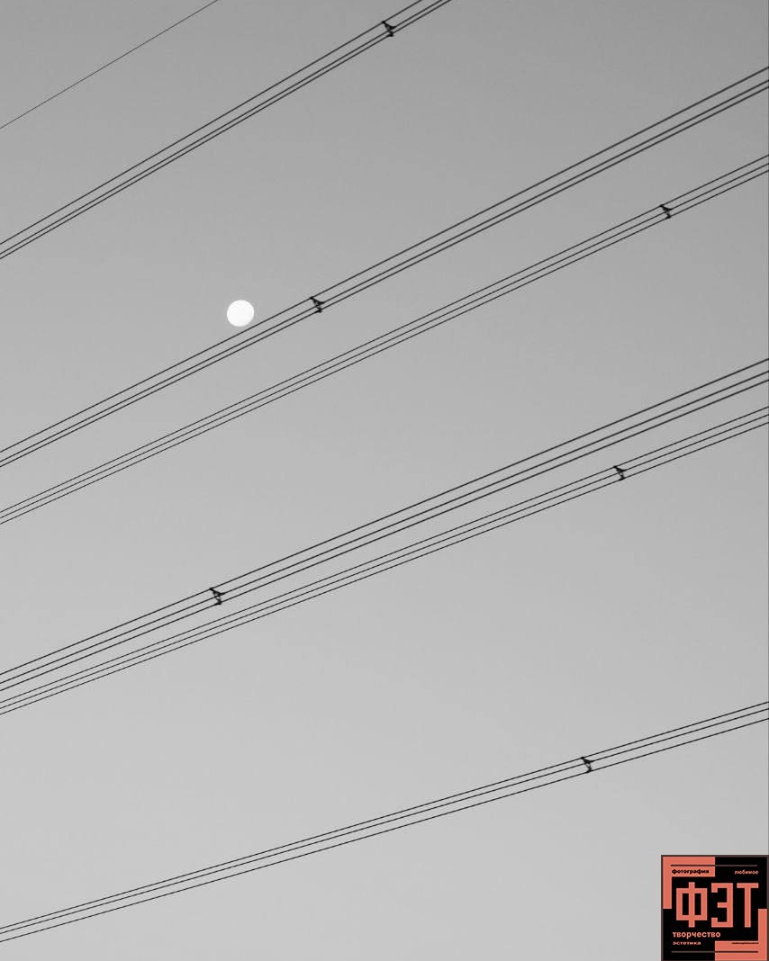 Альбом 15.02.26 в рамках ФЭТ