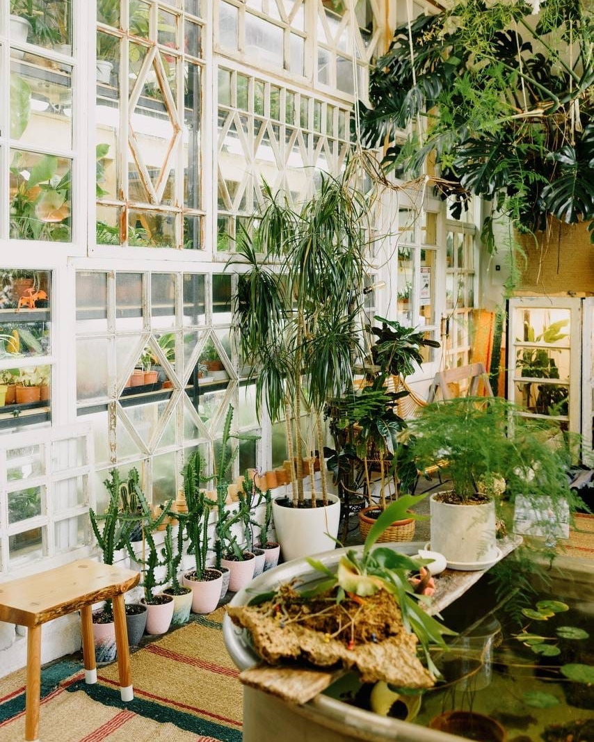 Зелёные локации для фотосъёмок в Санкт-Петербурге