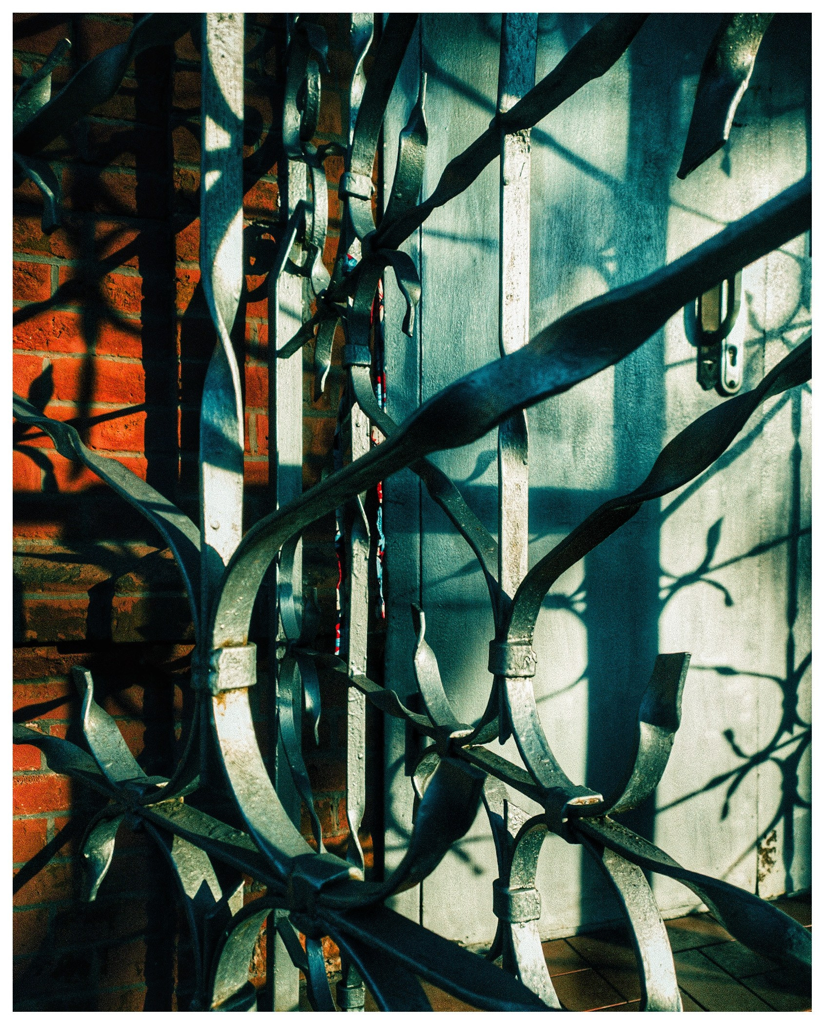 Купить постер (1). Репортажный и портретный фотограф, Влад Хафизов, Москва