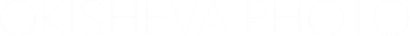 asoki.wfolio.pro