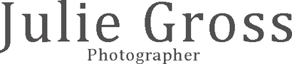 julievgross.wfolio.pro