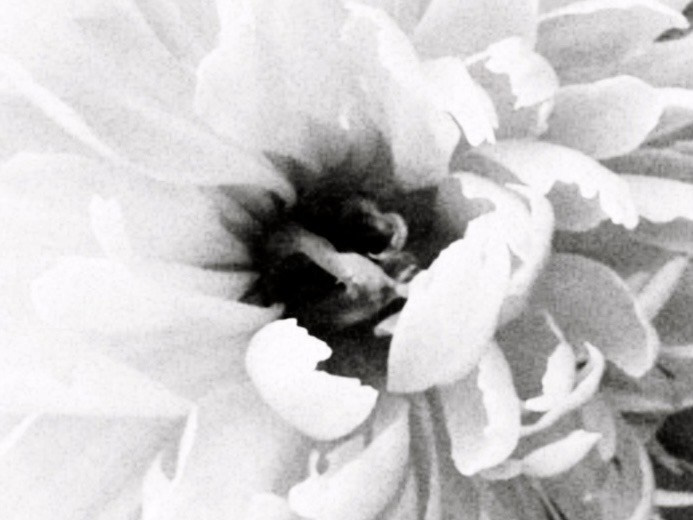 Портретный фотограф в Екатеринбурге