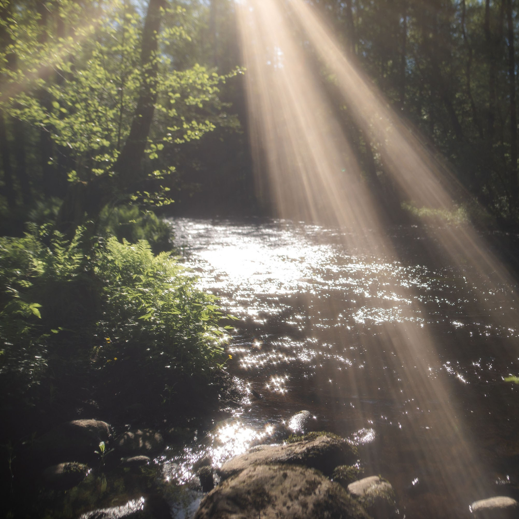 Сборы по гунфу Шаолиня в Петяярви 22–24 мая 2026 года. Лилия Гоца. Гунфу Шаолинь. Арт-фотография. Ретриты