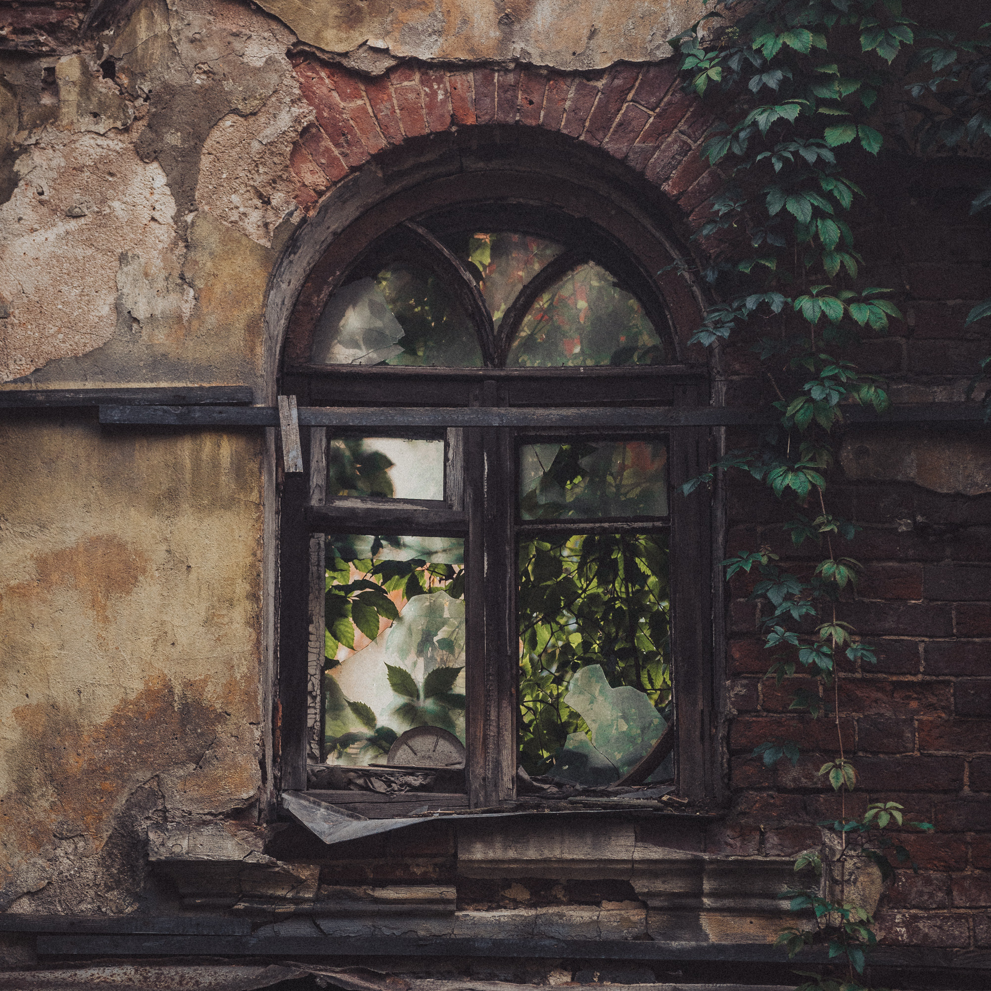 Документальный фотограф Илья Тихановский