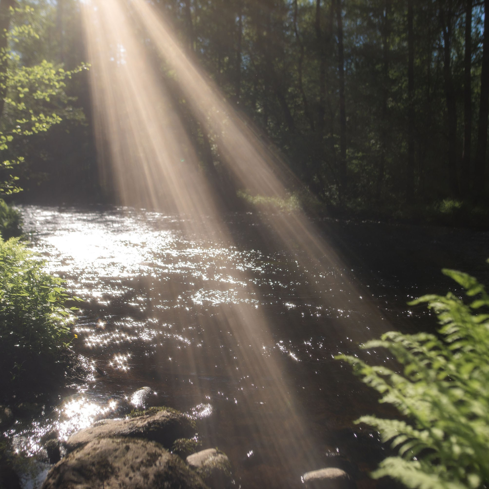 Шаманский фото-ретрит в Петяярви 2024. Лилия Гоца. Гунфу Шаолинь. Арт-фотография. Ретриты