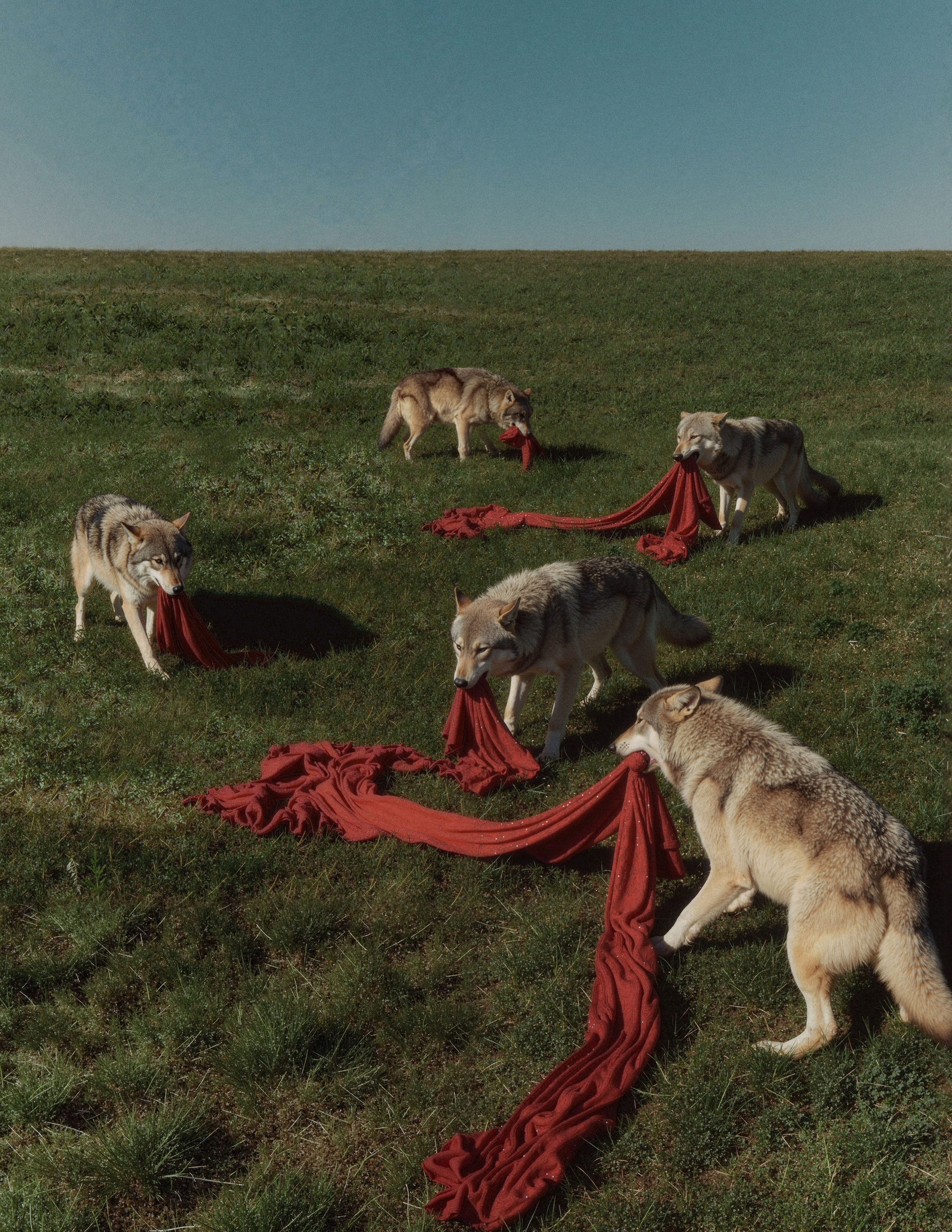 RED POSTARAL. Кирилл Зарин