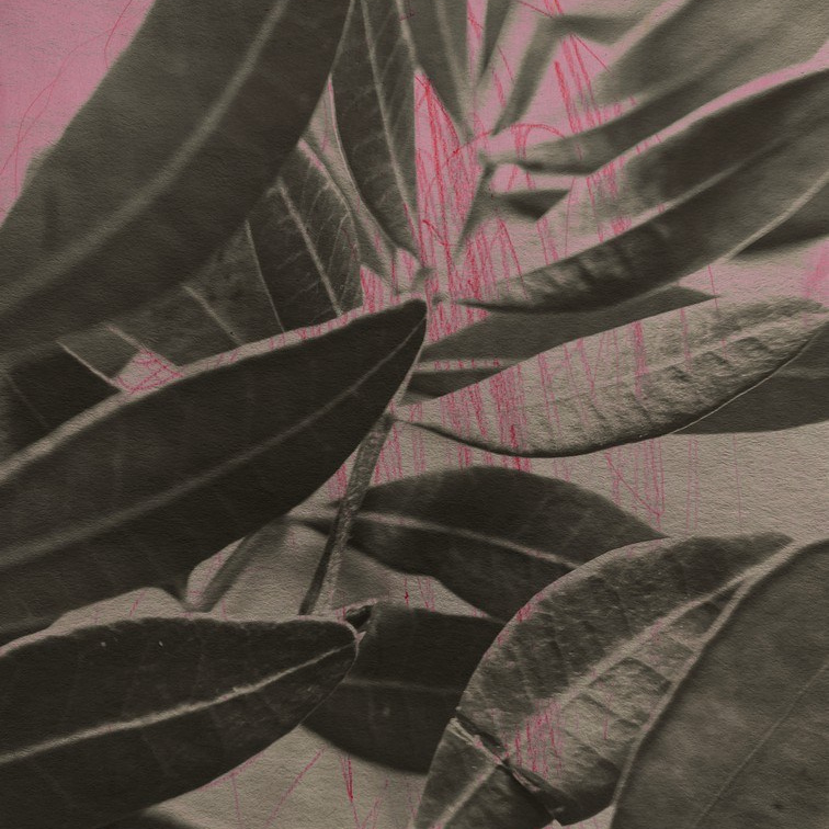 Пробуждение. Visual artist