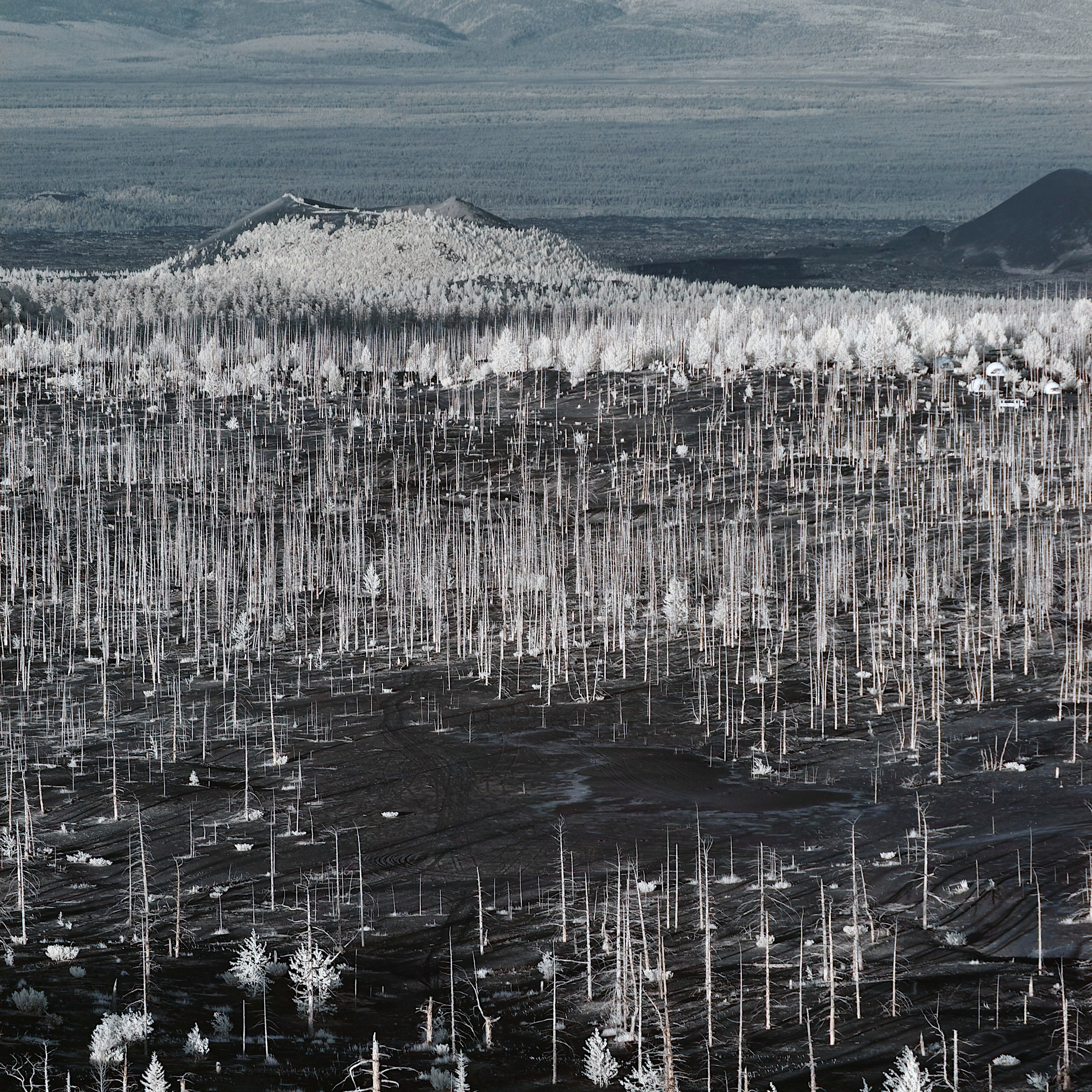 Семоха Валерий. Фотограф