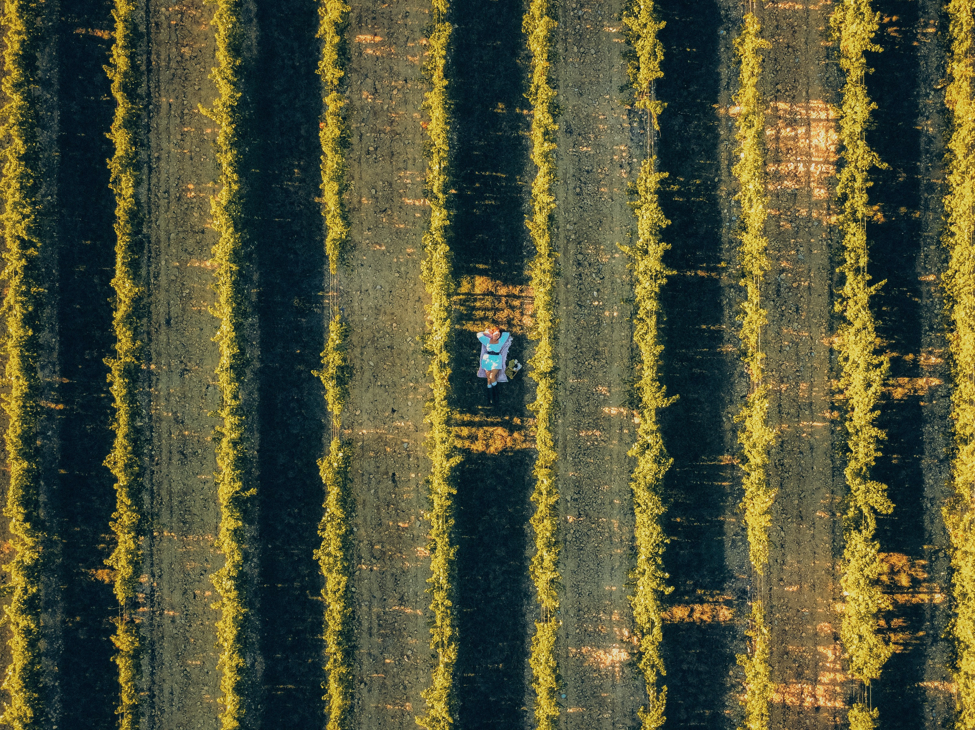 🍁 Séances Photo d’Automne dans les Vignobles de Provence. Photographer in Provence Julia Lipiainen