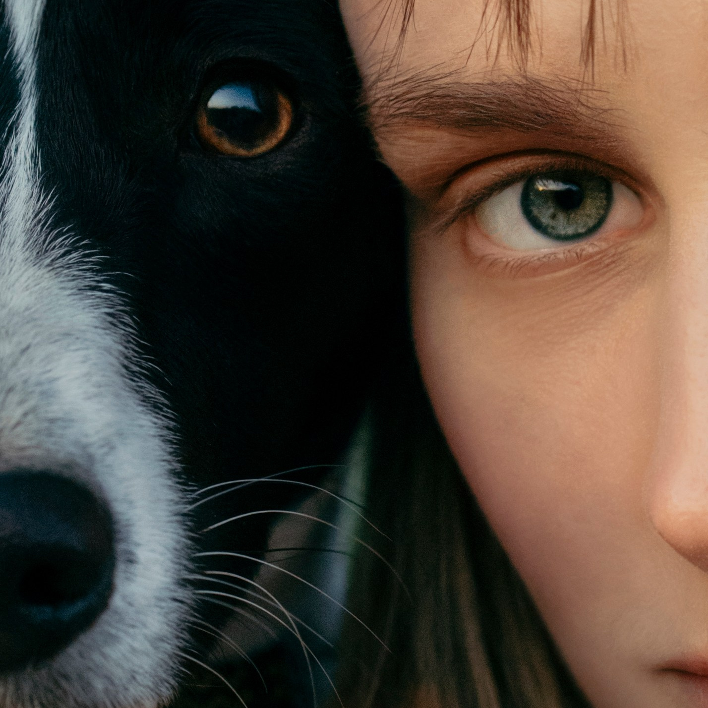 Услуги. Фотограф-анималист в Санкт-Петеребурге Титова Алиса