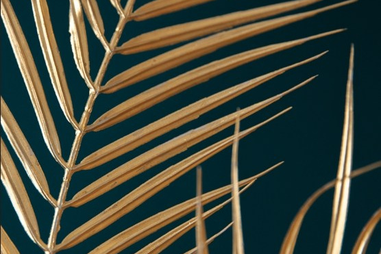 Коммерческое предложение для экспертов. Женский и контент фотограф Люба Пунанцева. Северодвинск. Архангельск