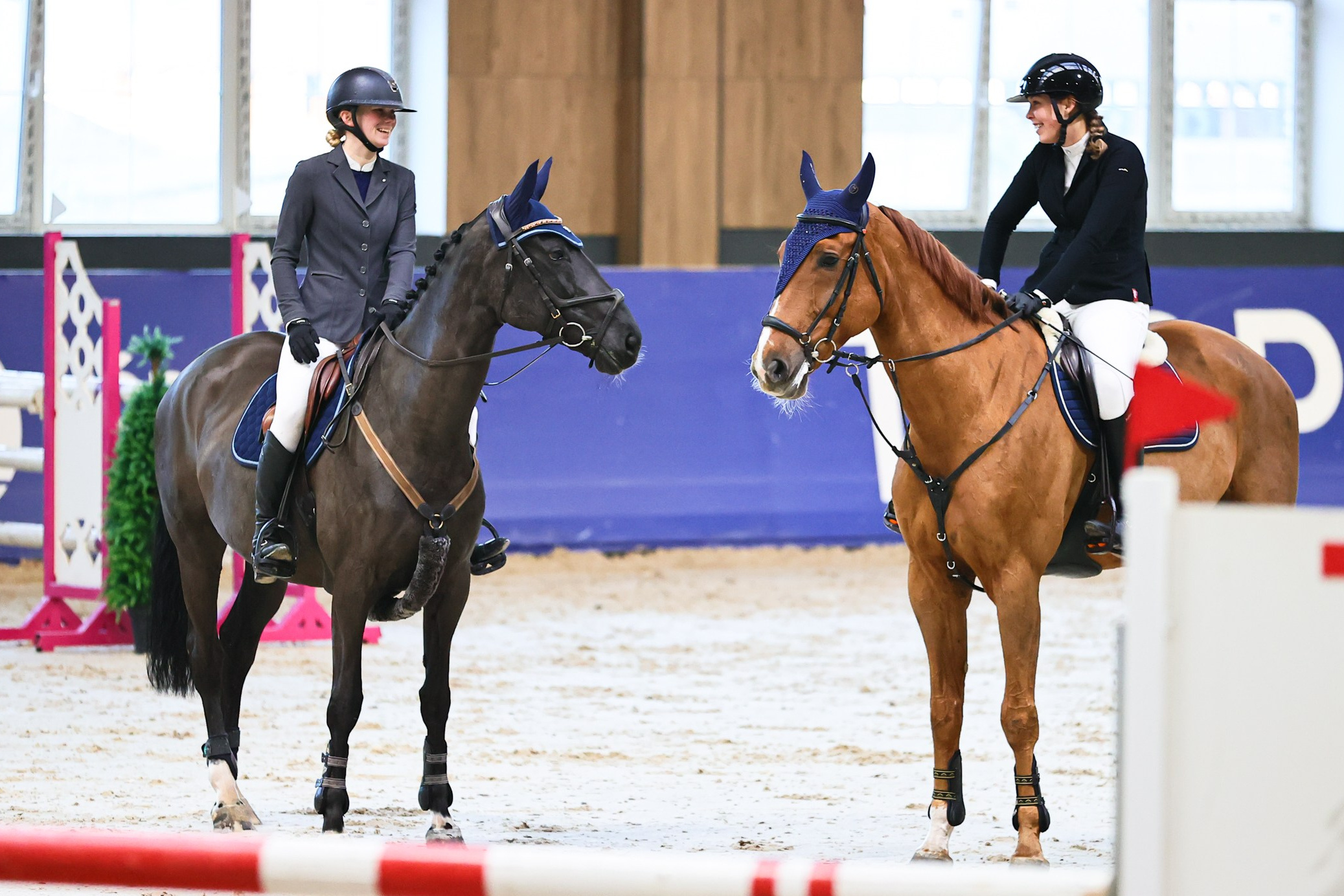 Купить фотографии с турниров. KatymartArt — Equine photography