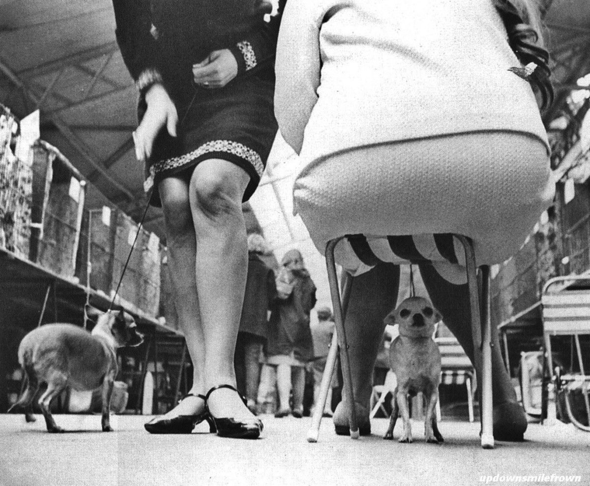 Стиль и почерк фотографа. Фотограф в жанре Ню. Татьяна Хасанович. Красноярск