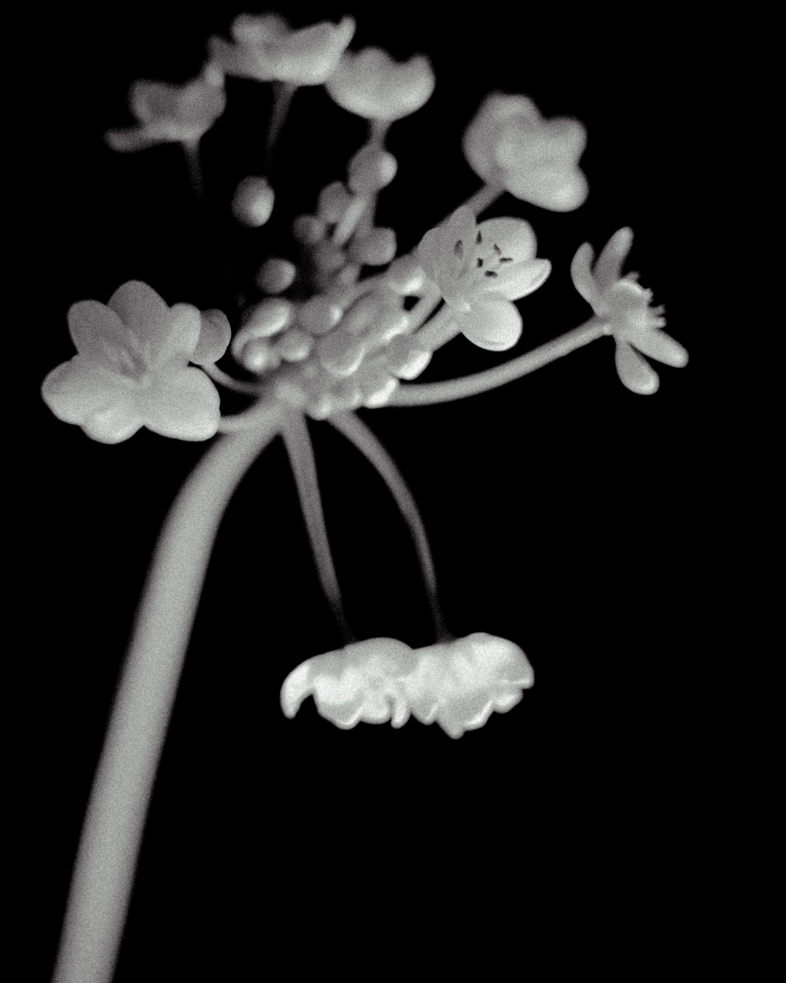 Портретный фотограф в Ярославле София Фоменко