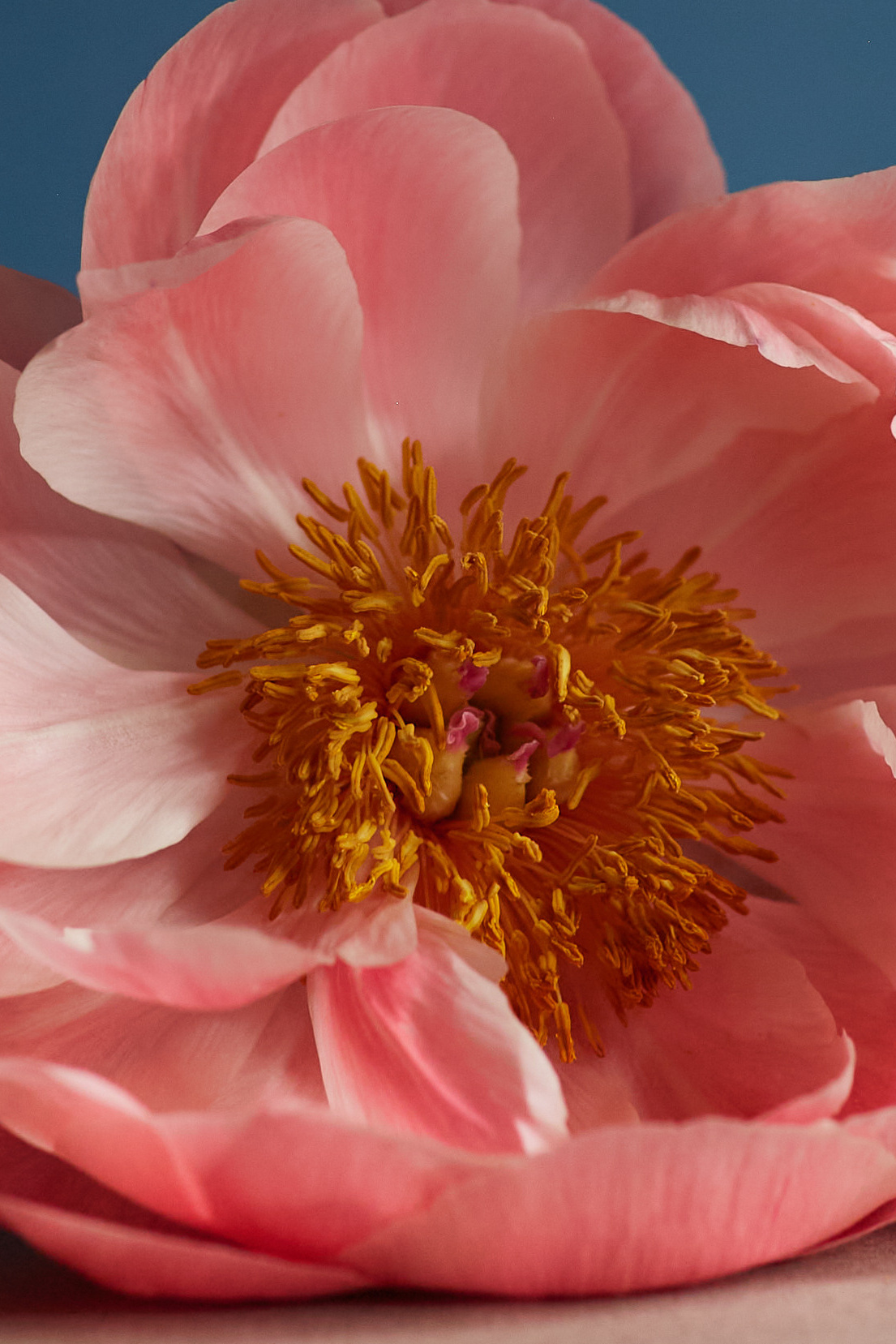 Визуальный продюсер и фотограф Екатерина Калинина. Город Челябинск