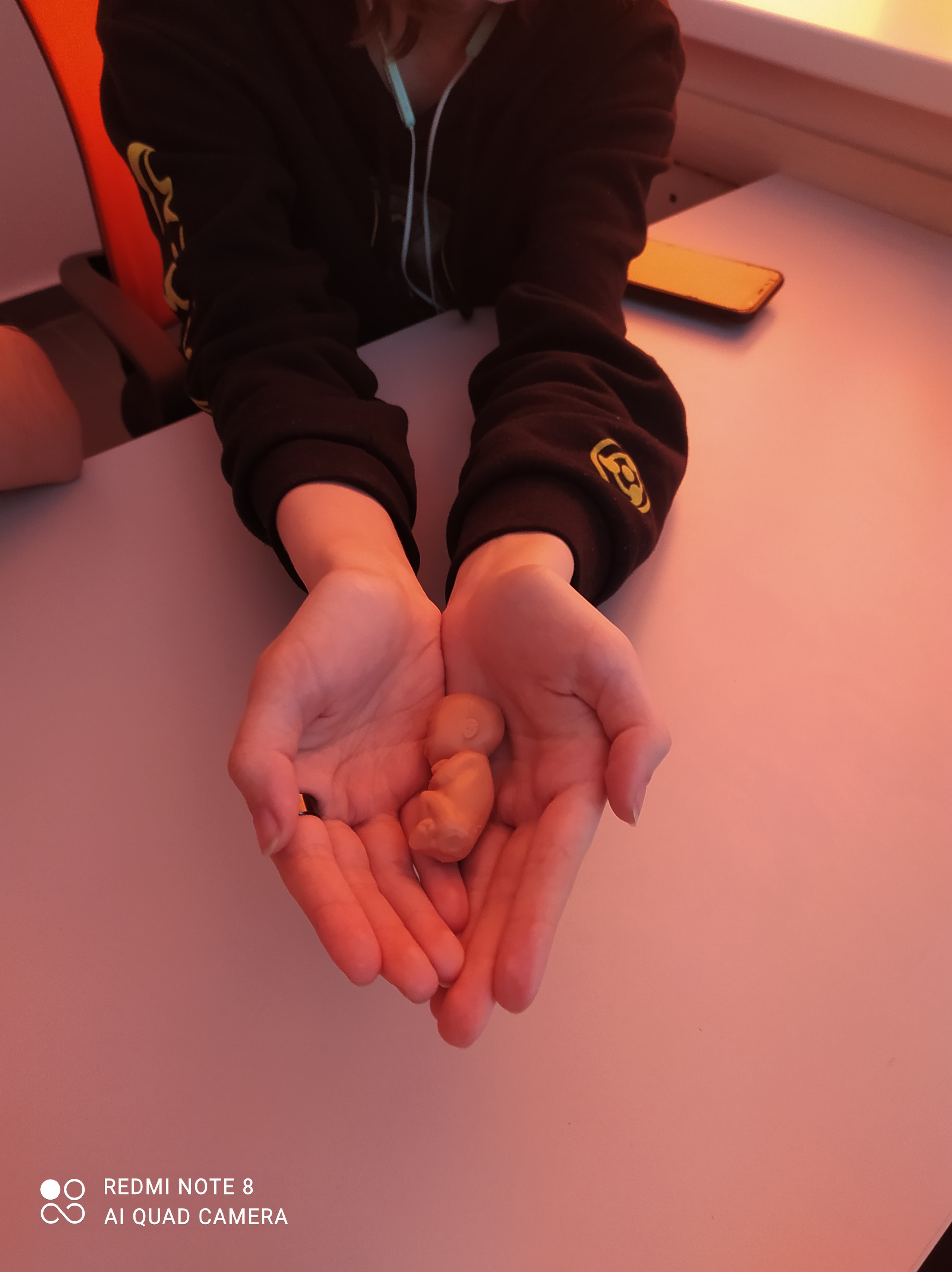 Отчёт комиссии Общественной палаты Владимирской области. Фонд Мама