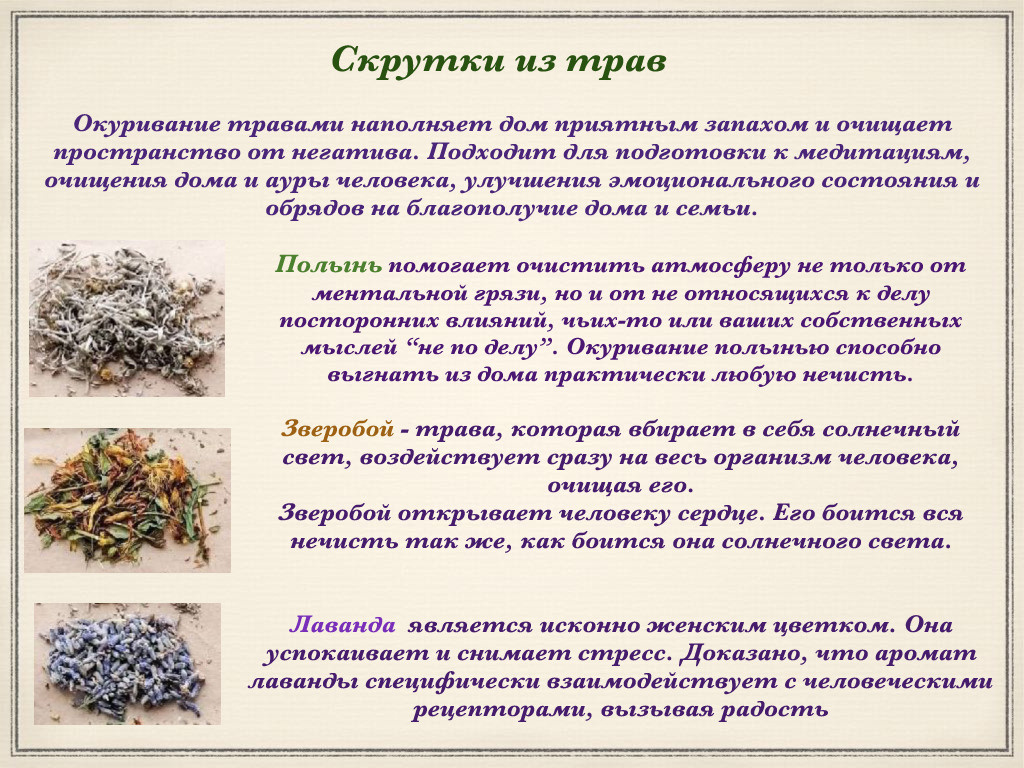 Экопродукция в Подмосковье. Эко отдых в Подмосковье в эко-отеле Марии Гиппенрейтер