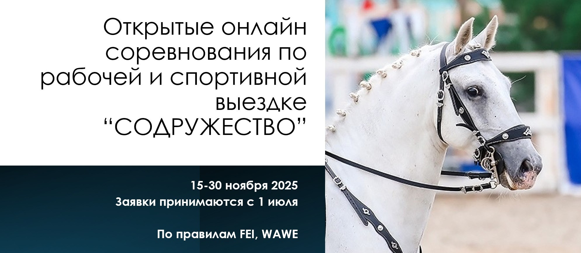 Открытые онлайн соревнования по выездке «Содружество 2025». Лиана Антонович | Конные стратегии