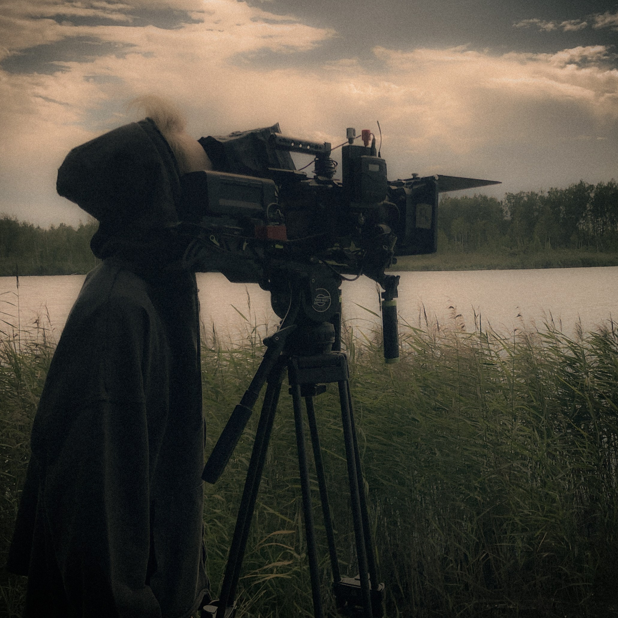 Ilya Krol