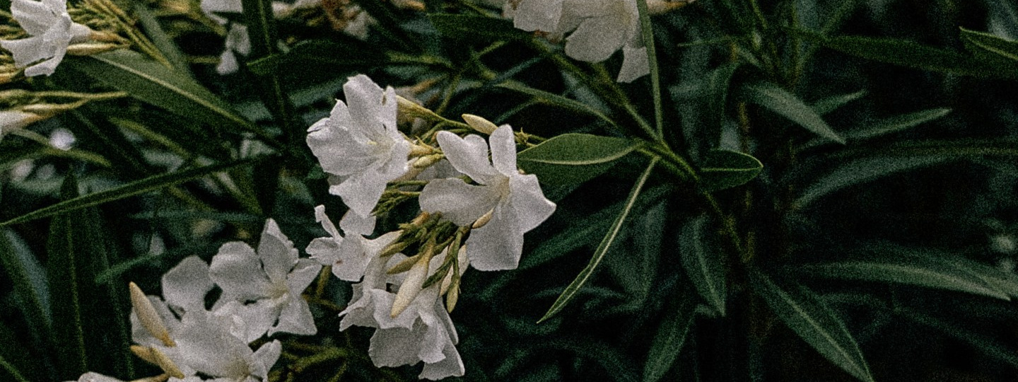 Портретный фотограф, Москва — Рогатин Саша