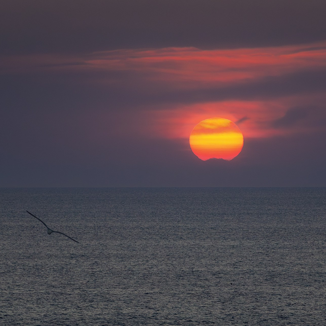 Фототур по Приморью. Фототуры и обучение пейзажной фотографии