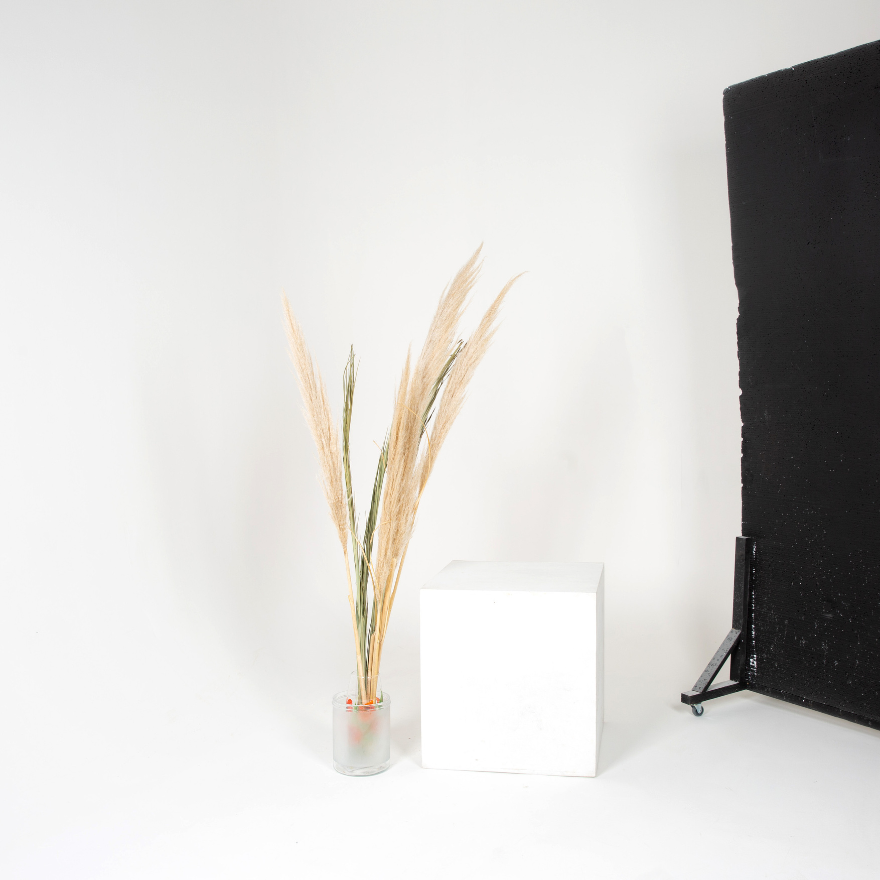 Контакты. Фотостудия Кураж