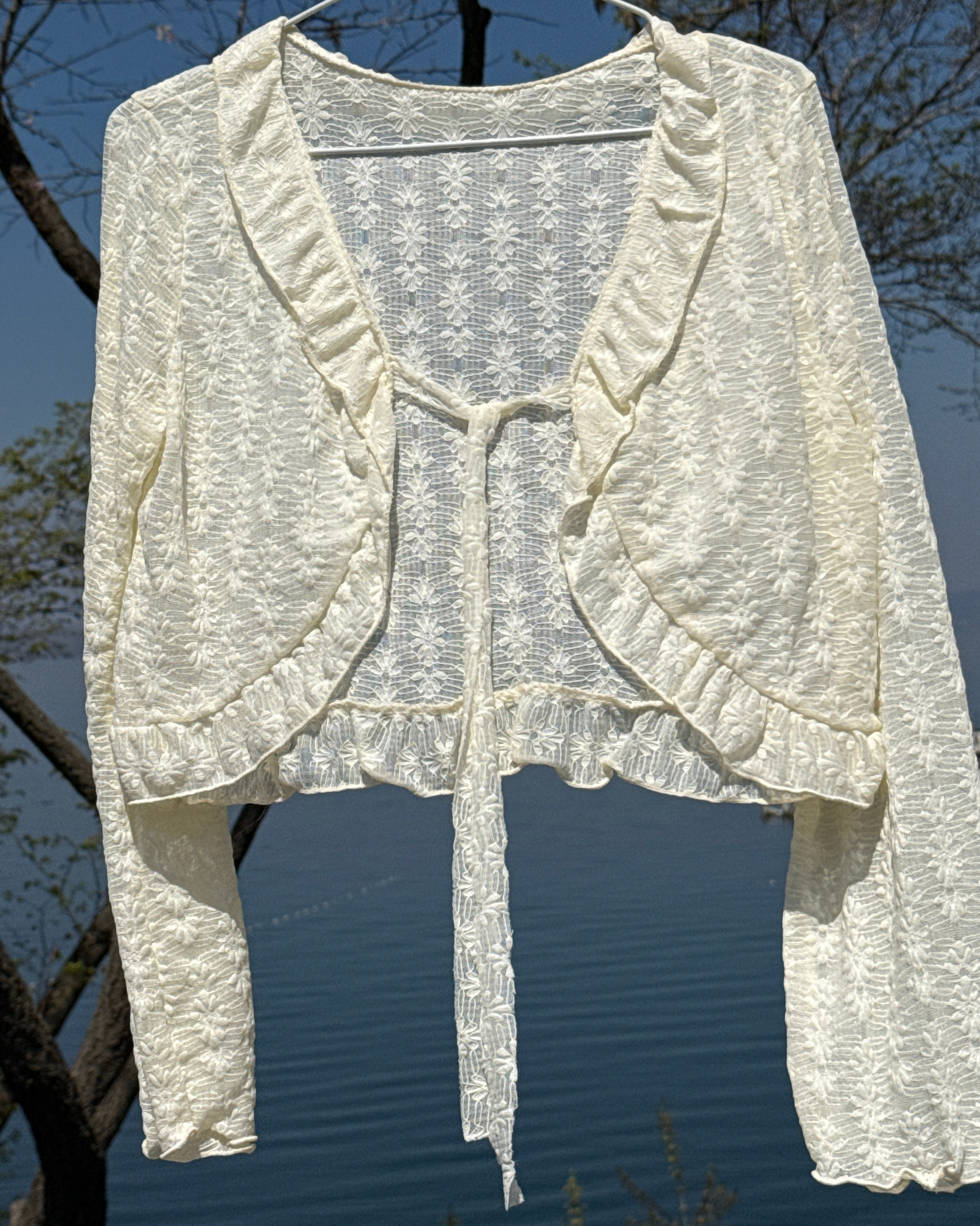 New лето. Iva rent