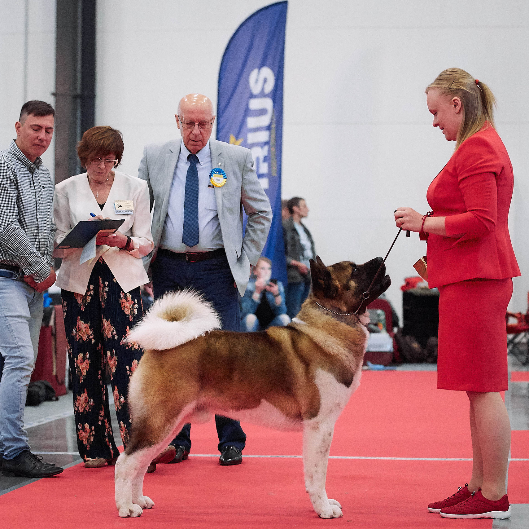 IMAGINE DRAGON * Галс