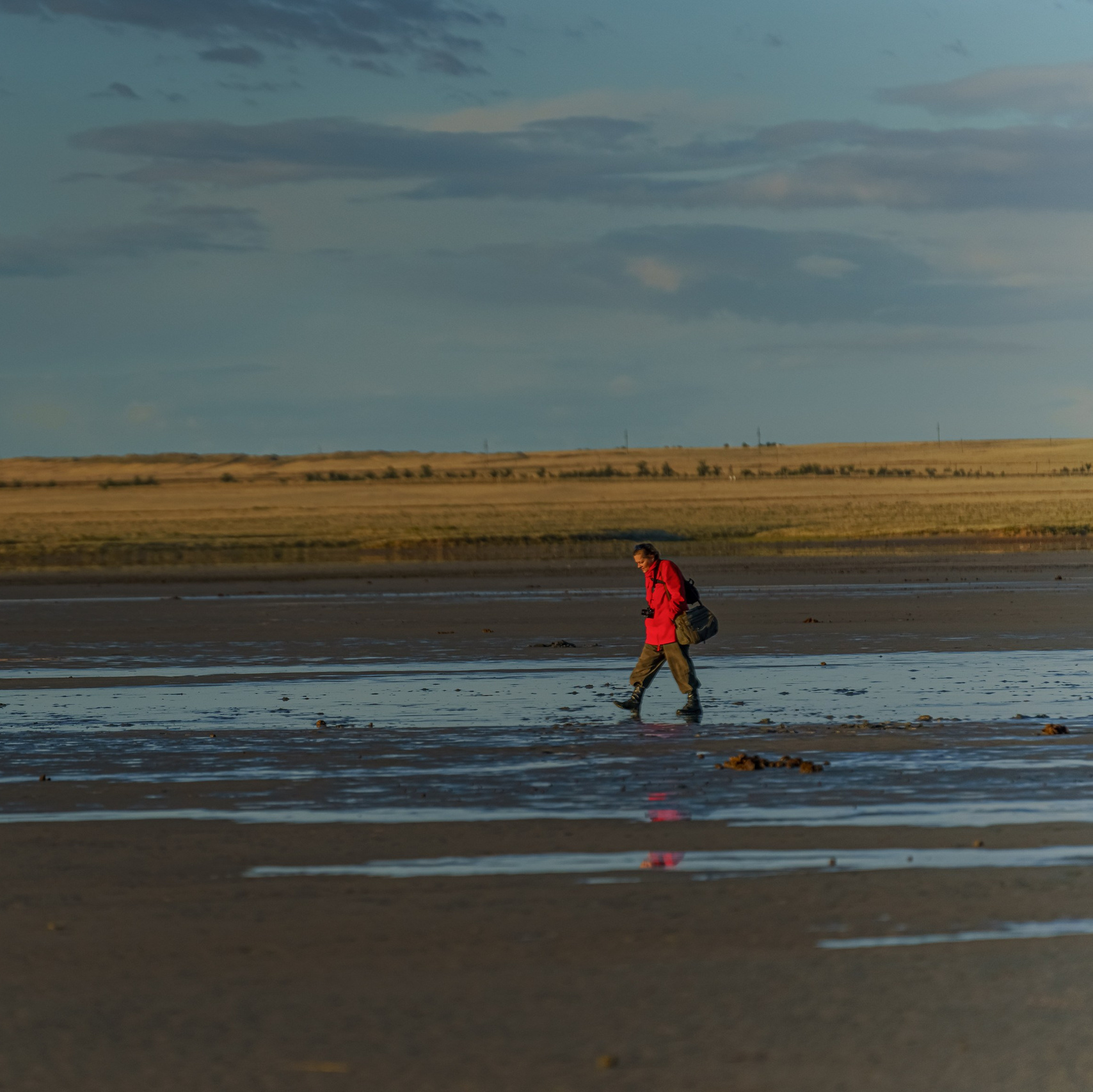 Эльтон: весенний пролет птиц