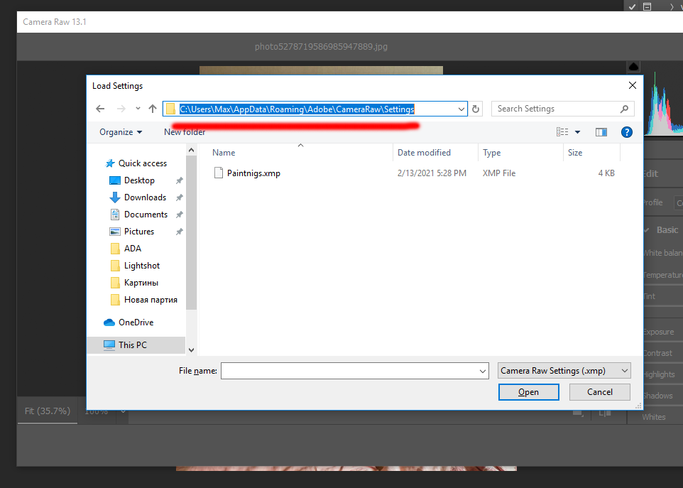 Папка с пресетами Camera Raw Filter. Фотограф Максим Ерёмин